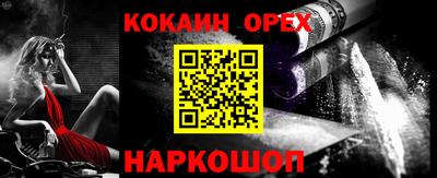 тгк Бердск