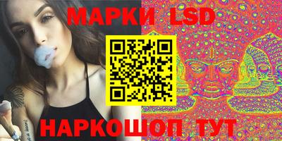 тгк Бердск