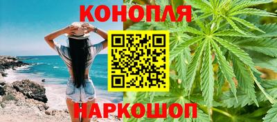 тгк Бердск