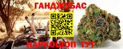 тгк Бердск