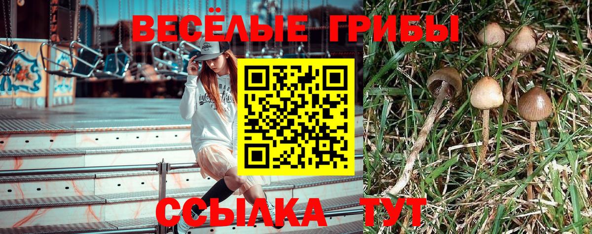 Псилоцибиновые грибы GOLDEN TEACHER  Вход с VPN  Светлоград 